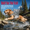 Sun Protection Pet Cooling Shirt Breathable Dog Sunscreen Clothes Dog Cooling Vest  Walking