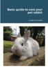 Kniha Basic Guide To Care Your Pet Rabbit
