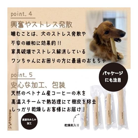 Mochico Dog Coffee Tree Dog Chew Toy Wood L Size Additive-Free 100% Natural Dental Care Chew Tree Chewing Toy Caffeine Free