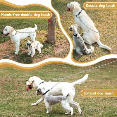Hunde – Hundehalsbänder & Leinen