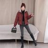 Fashion Short New Down Cotton-padded Clothes, Winter Cotton-padded Jackets, Thin and Thickened Warm Jackets
