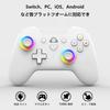 Switch Controller with Rear Macro Bluetooth Gyro RGB 1000mAh HD Compatible with Switch and Japanese Instruction Manual PeriphX Switch Pro Fully Sleek