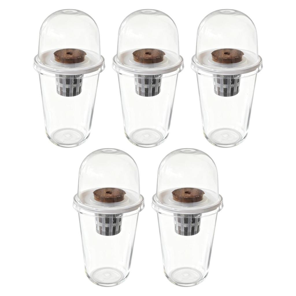 Kit Vaso per Coltivazione Idroponica Set Completo per Germinazione Piante per Balcone Lattuga Barbabietola Colza Prato e Giardino Didattica