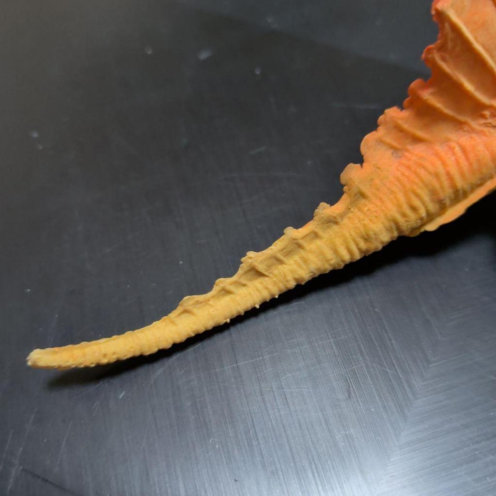 Used [At that time] Extremely rare Hong Kong made Dimetrodon large size over 15cm Chinasaurs