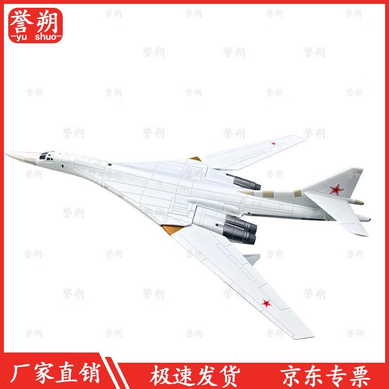 Soviet Tu-160 White Swan Bomber Model
