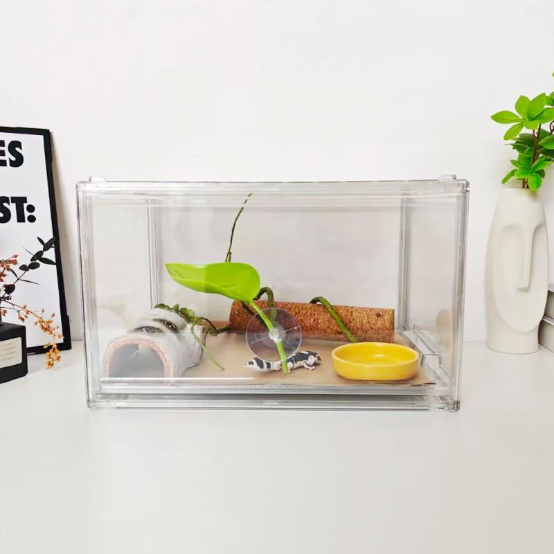 Acrylic Drawer-Type Reptile Terrarium Crested Gecko Horned Frog Bearded Dragon 36x27x22cm PET Plastic Enclosure