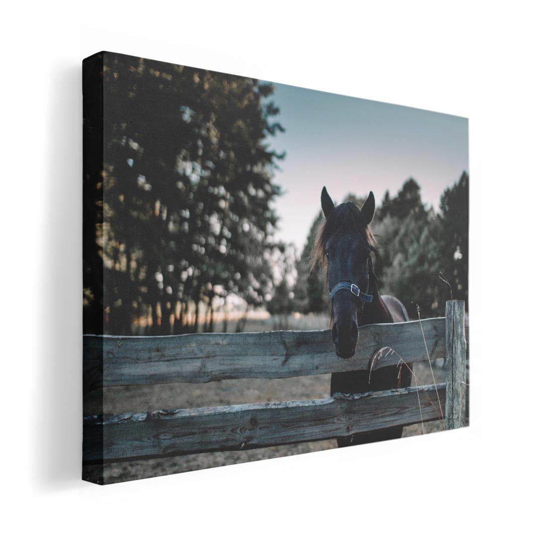 

Art 420mm x Wall Wooden Stylish Interior Animal Photo Panel, Painting, Decoration, igsticker, 297mm, A3, Photo, Hanging, Frame, Decor, 023442, Horse,