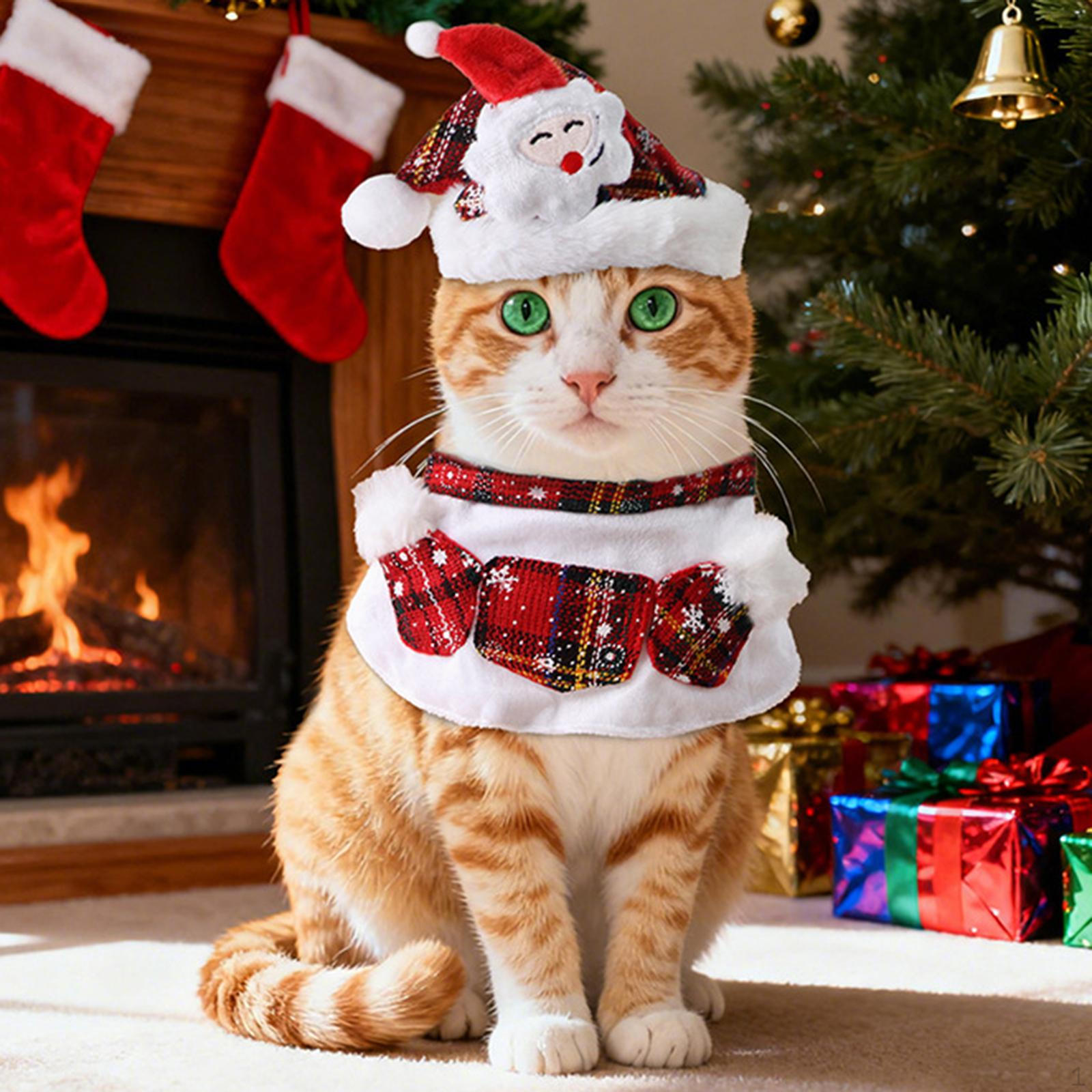 

Pet Santa Hat with Scarf Cosplay Dress up Comfortable Photo Props Outfit Christmas Costume L