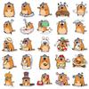 50 Cute Marmot Graffiti Stickers for Decoration - Perfect for Journals, Phone Cases, and Water Cups.