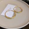 Simple Hoop Earrings: European-American Style, Versatile Metal Hoops for Women with a Trendy, High-End Feel