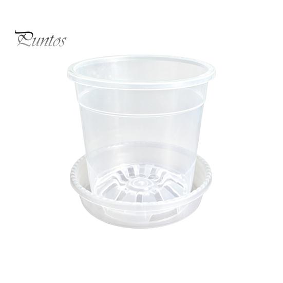 Breathable Plant Pots for Rootlets Clear Plastic Orchid Pot with Saucer, Drainage Holes, Ventilated Flower Rose, Phalaenopsis, Seedings Containers