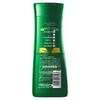 Bainian Runfa Soft & Bright Anti-Dandruff Shampoo