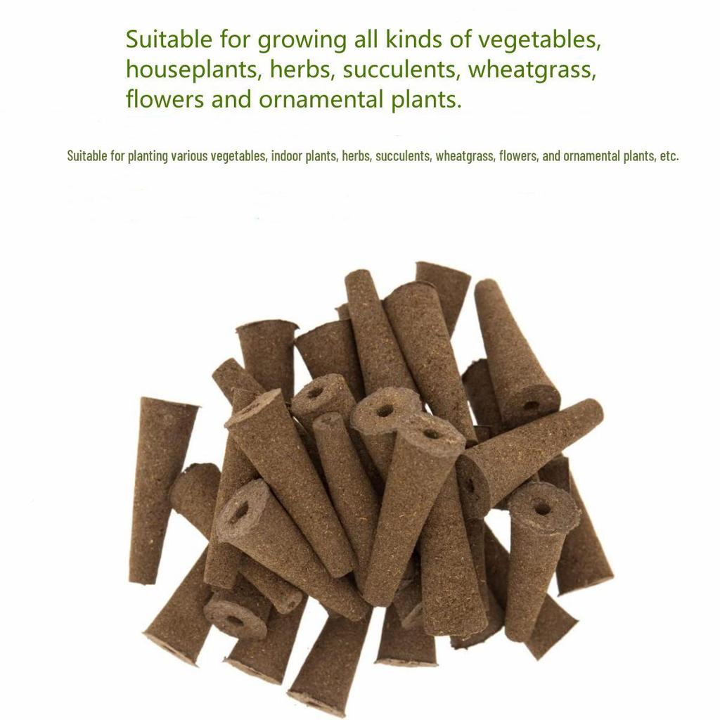 Hydroponic Growing & Transplanting Sponges for Soilless Cultivation, Seedling Blocks & Baskets