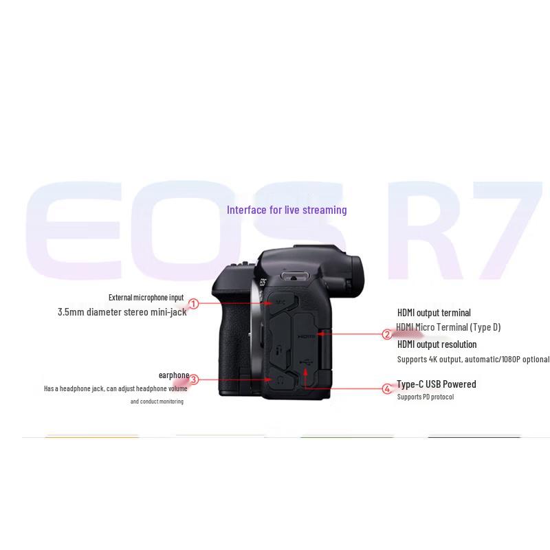 Canon EOS R7 Professional Mirrorless Camera (CN Version)