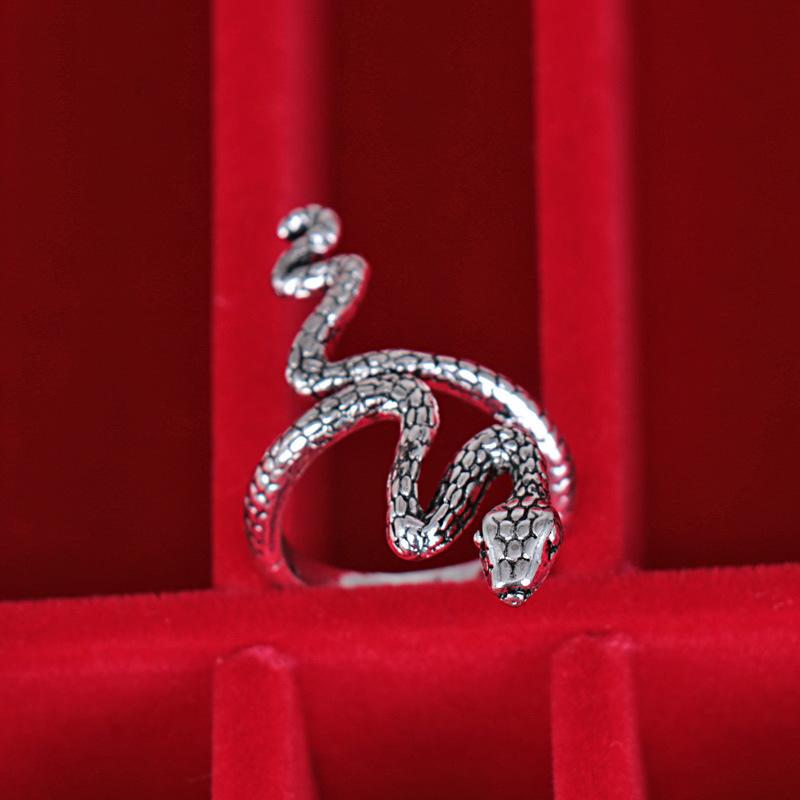 Design Curved Eye Snake Ins Cool Style Fashion Versatile Niche Light Luxury Index Finger Ring