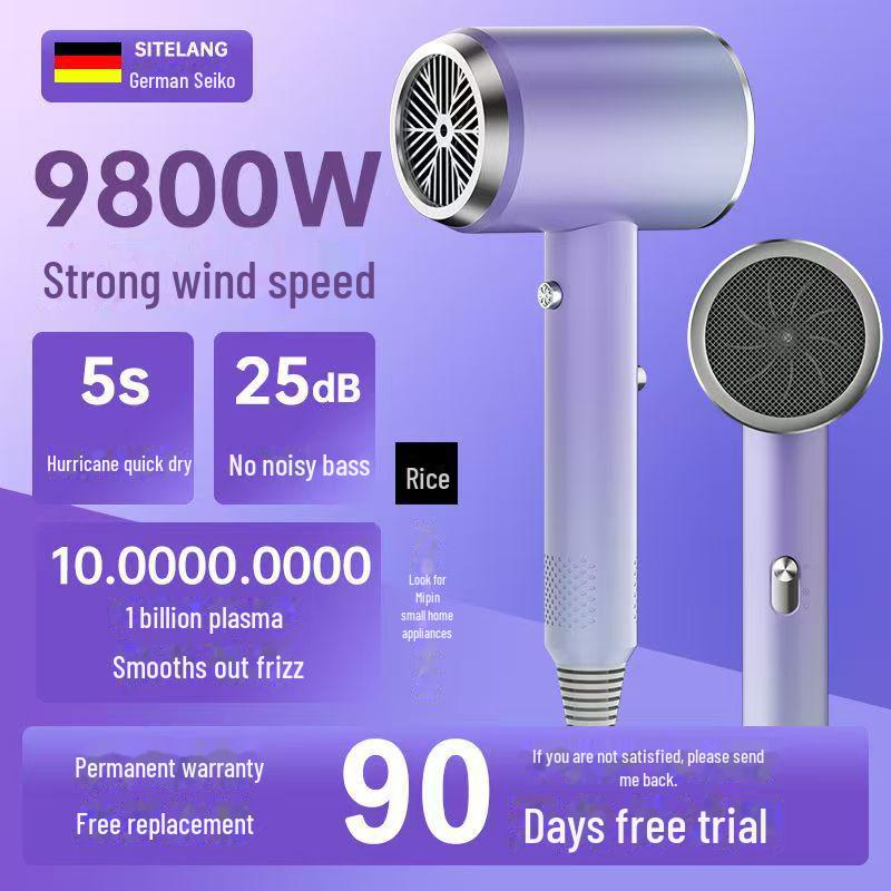 High-Power Hair Dryer with Ion Care and Hot/Cold Settings