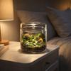 Transparent Glass Terrarium Cylinder Perforated Cover Desktop Glass Vase Decorative Moss Plant Pots Bonsai Display