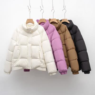 Neue Daunenjacke Damen Klein Winter Verdickt Stehkragen Locker Entendaunen Brotjacke Zum Warmhalten