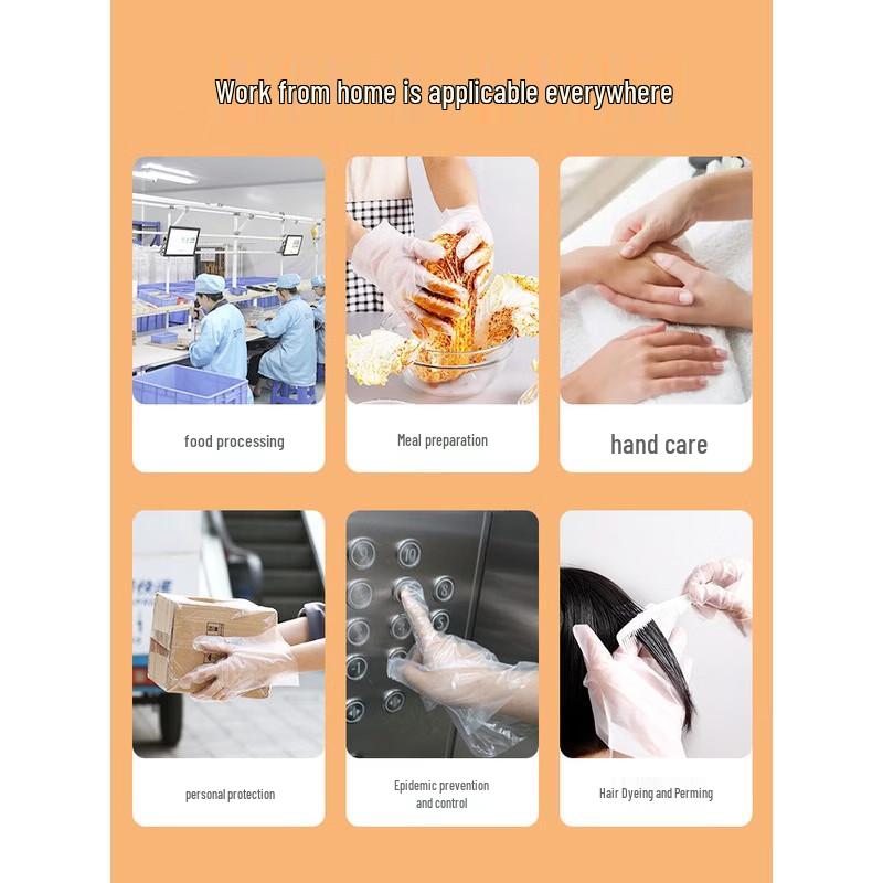 MARYYA Disposable Food-Grade PE Gloves (250 Count)