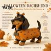 Whimsical Autumn Room Accessories Fall Harvest Dachshund Figurine, Halloween Statue with Pumpkin Headband Polka Small Ornament for Fireplace