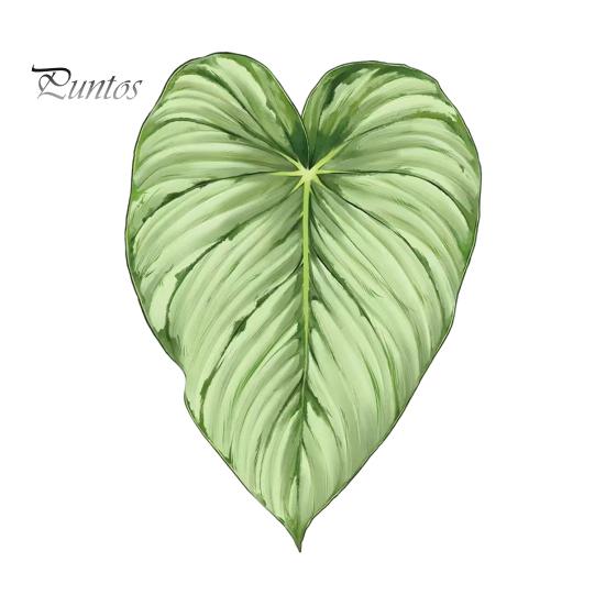 Tropical Plant Refrigerator Magnets 3D Plants Magnet, Acrylic Green Decorative Fridge Home Decor Memo Notes Photo Holder for Kitchen Office