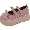 Fashion 2025 New Women Mary Jane Shoes Autumn Round Toe Vintage Bow Knot Platform Shoes Height Increase Comfortable Fashion Single Shoes