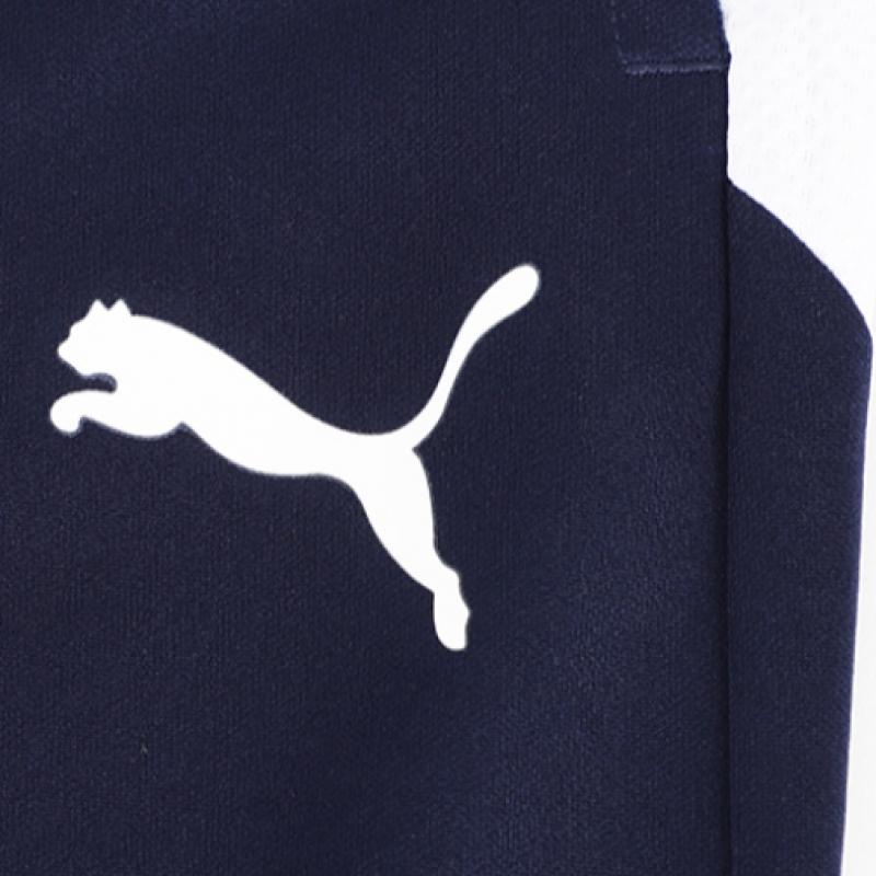 Puma Teamliga 25 Training 3 4 Pants