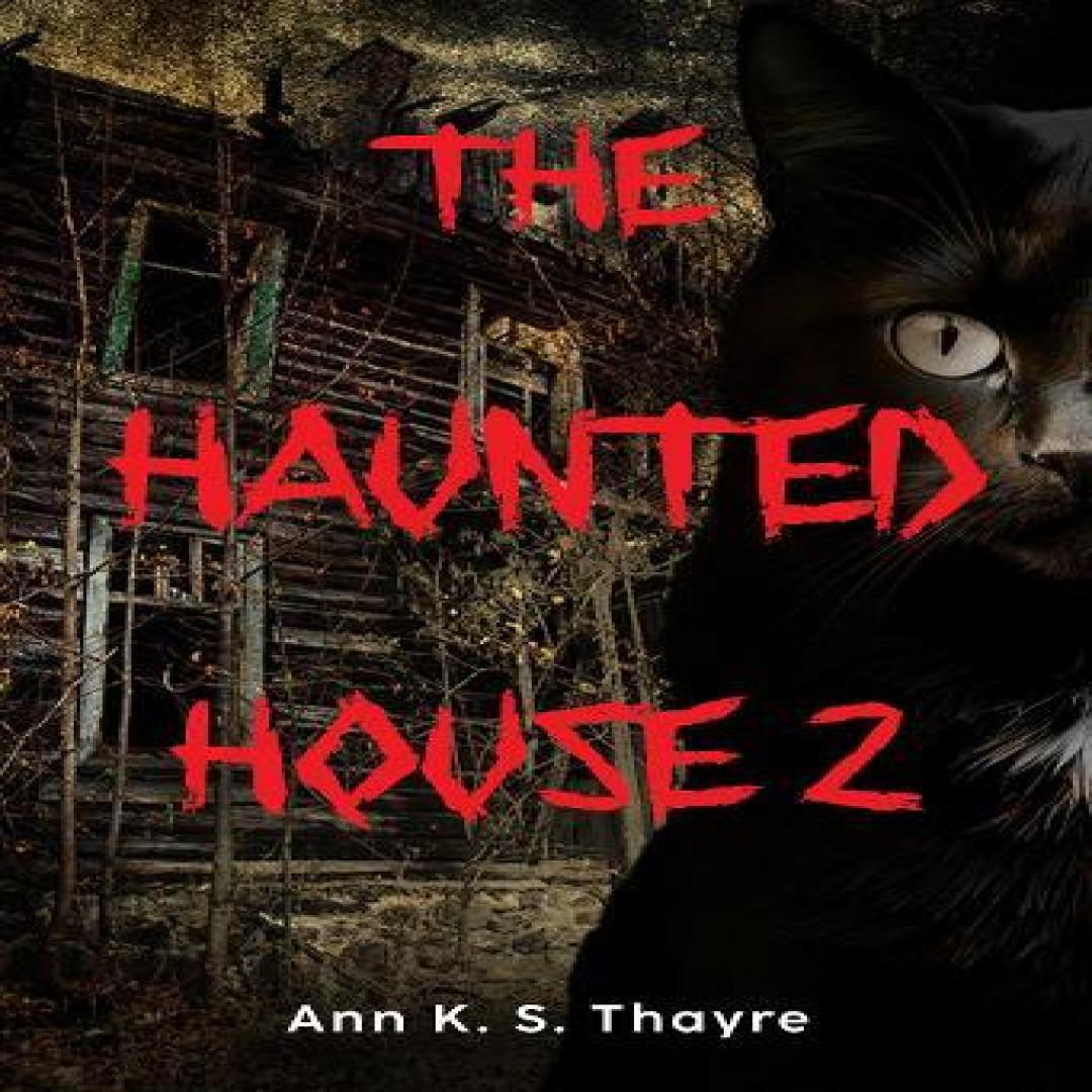 Das Spukhaus 2 von Ann K. S. Thayre Taschenbuch 9781835436721