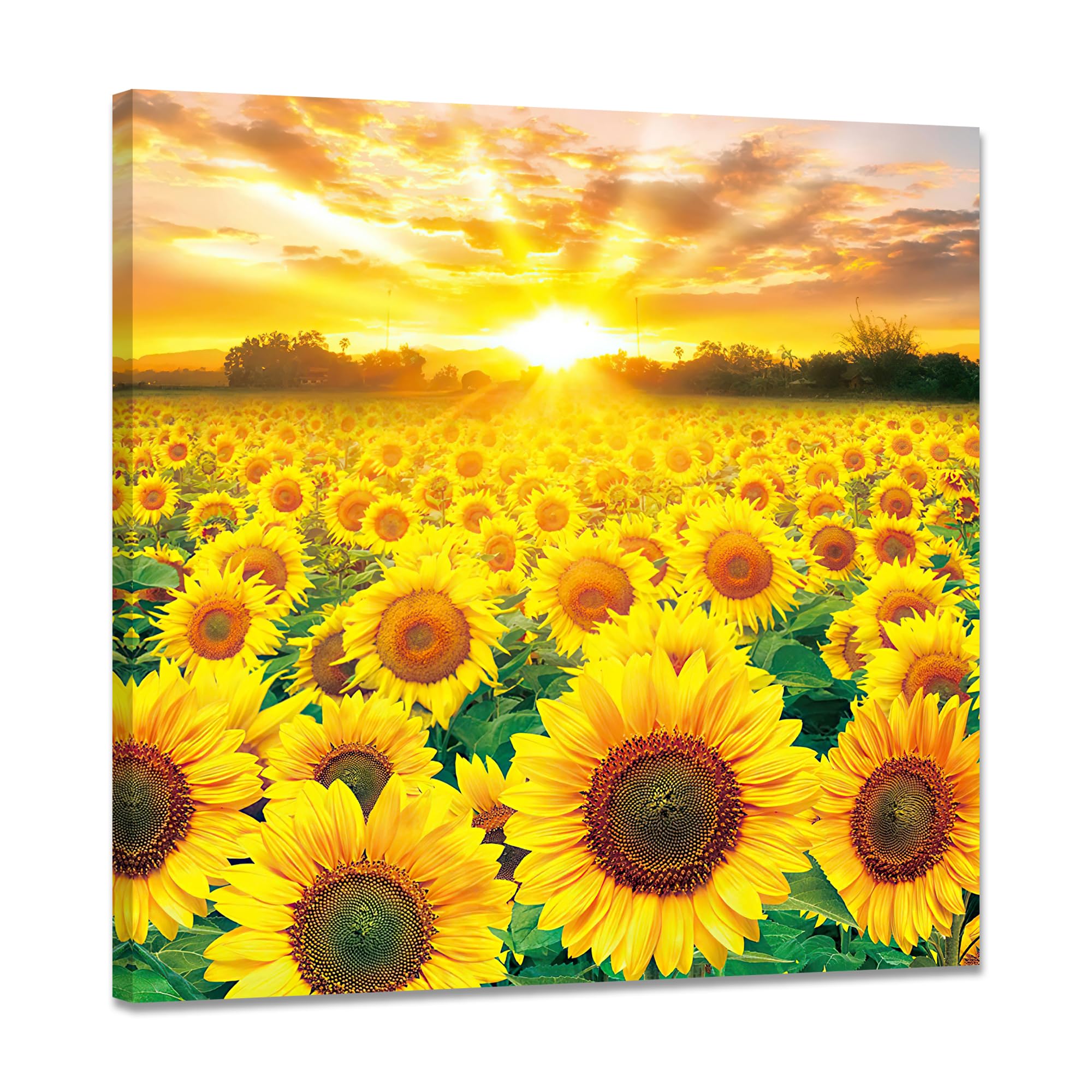 

Подсолнух подсолнух искусство цветок интерьер стена комната живопись для подвешивания в готовом изделии с деревянной рамой живопись, панель, живопись, плакат, растение,