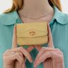 Wonder Wallet (Lizard Yellow)