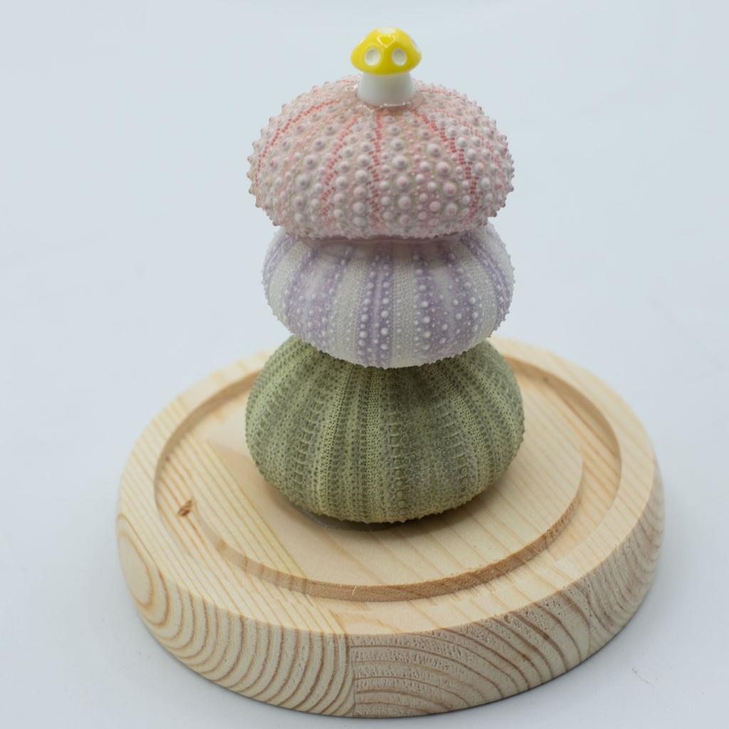 Floral Glow Garden Dome – 3 Sea Urchins – LED USB