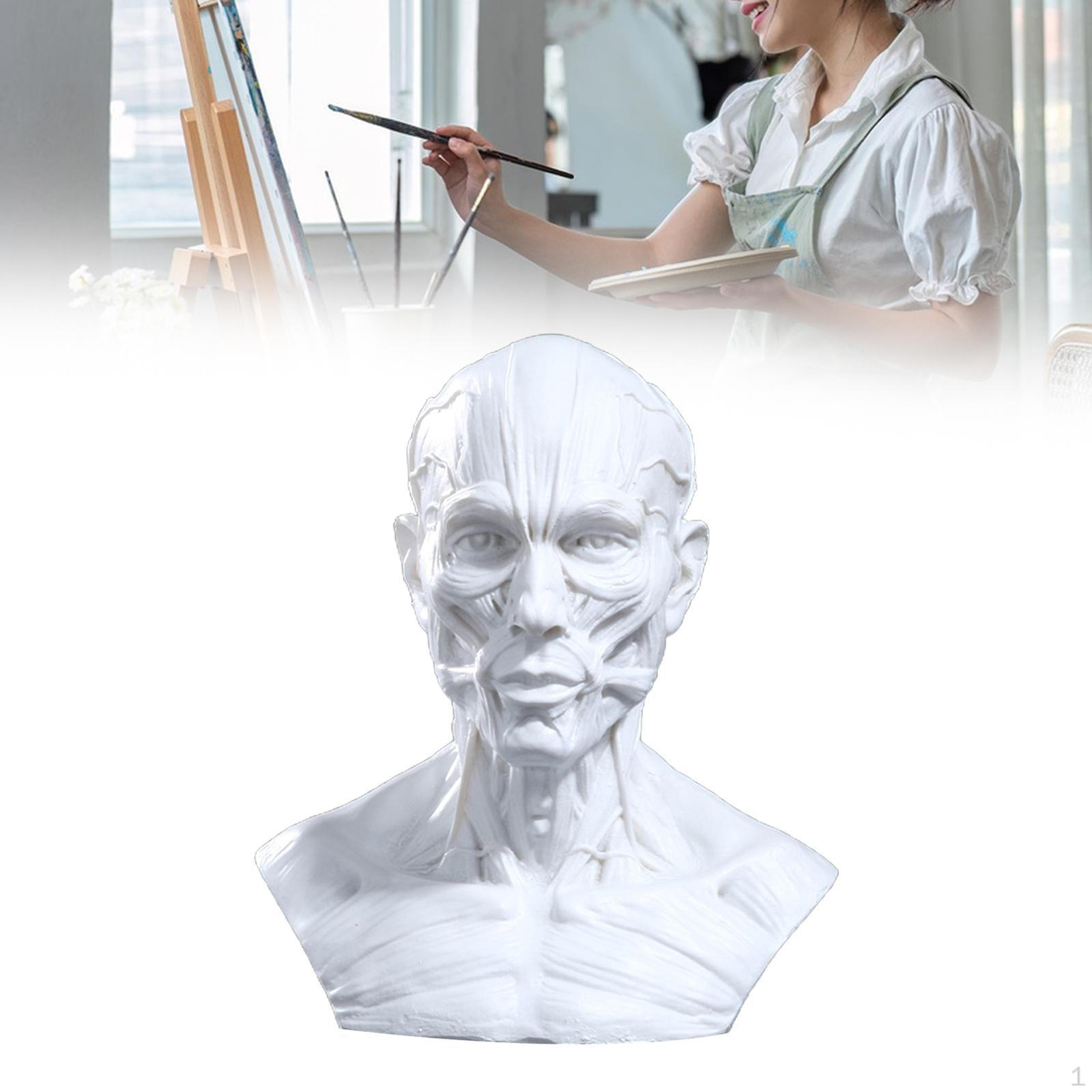 

Скульптура головы для домашнего декора White