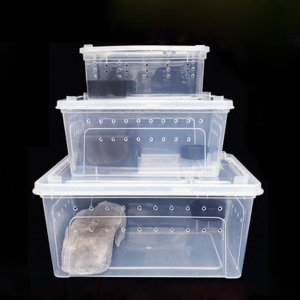 1 stück Kunststoff Reptilien Wohnbox Terrarium Transparent Reptilien Insektenbehälter Transport Amphibien Zucht Futterfütterungsbox