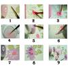 DIY Painting By Numbers Digital Oil Painting Arts Painting Hobbies