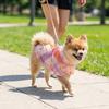 Cooling Pet T-Shirt Thin Breathable Sun Protection Clothes Dog Sunscreen Clothes  Outdoor Activity