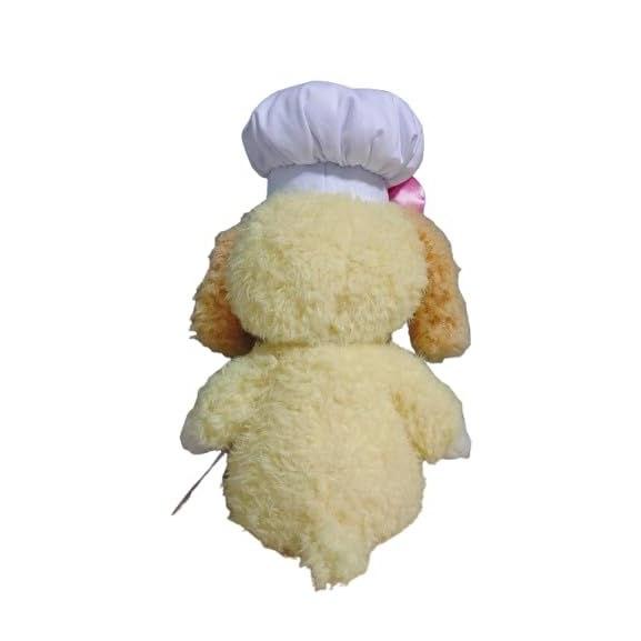 Cookie Ann Plush Toy Wrapping Bag Included Limited TDS Park Duffy Friends.