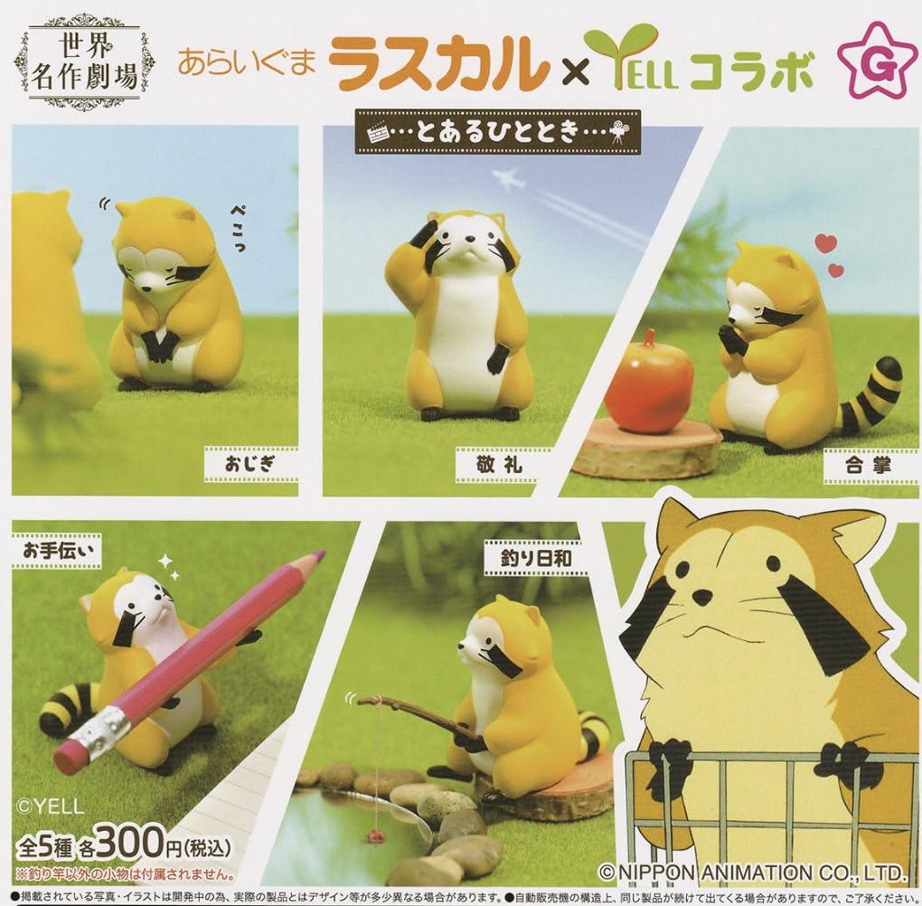 Rascal the A Certain Moment Complete Set of 5 Raccoon -