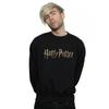 Harry Potter Mens Full Colour Logo Sweatshirt