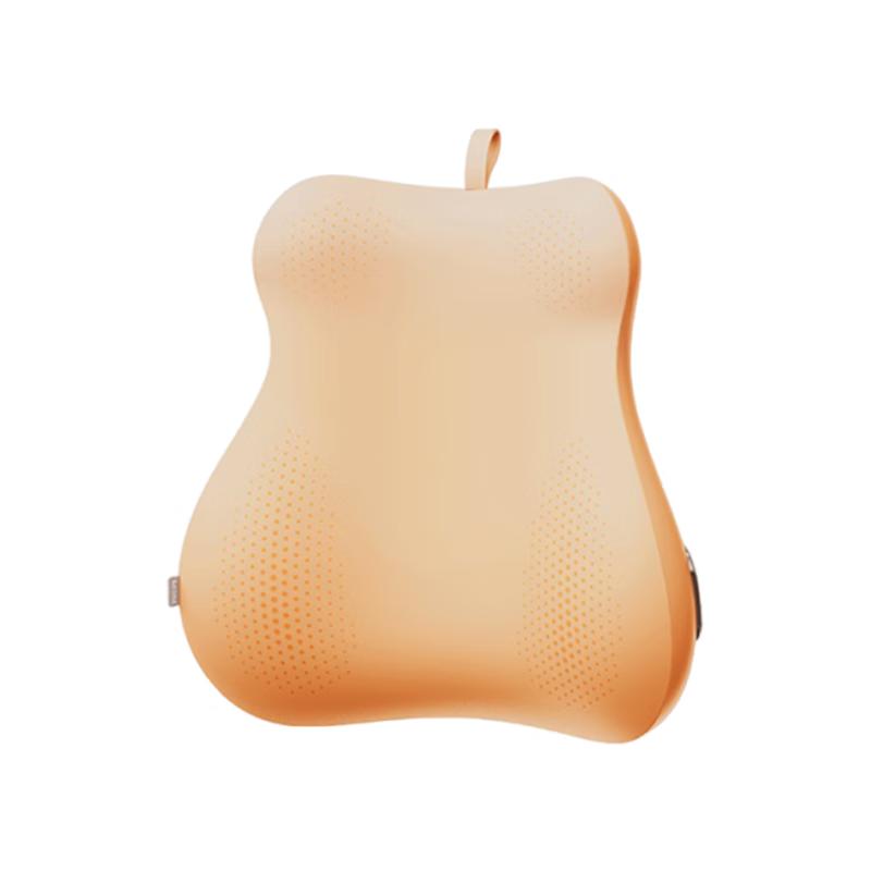 

Philips Back and Waist Massager