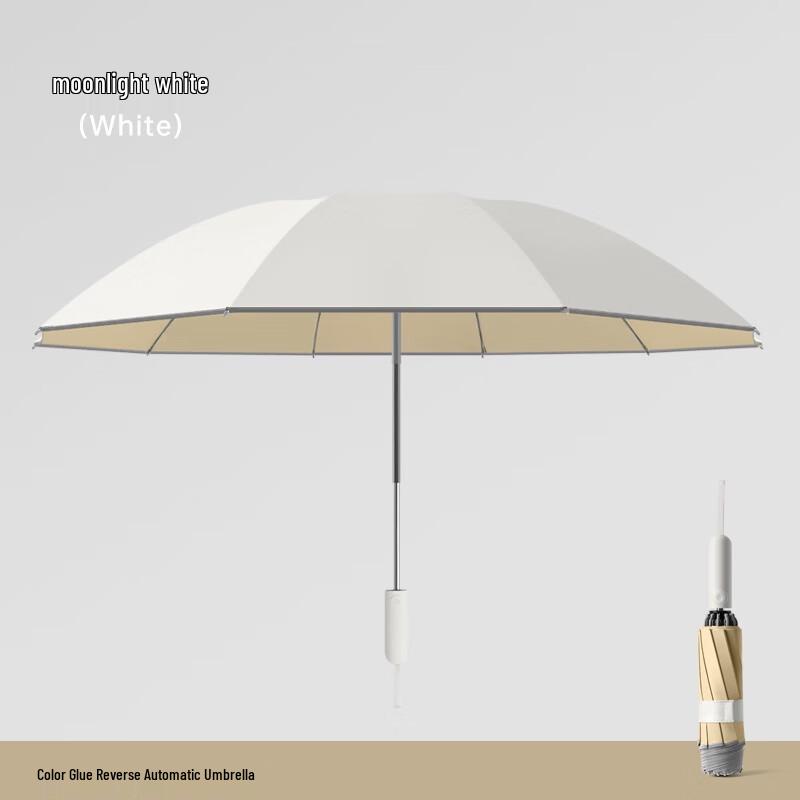 Zuoyou Unisex Business 10-Rib Folding Inverted Umbrella