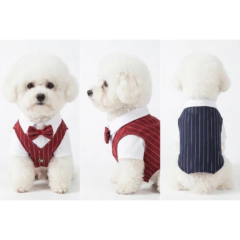 Polyester Haustierkleidung Teddy Hundekleidung Frühling Sommer Haustierjacke Katzenkleidung Weinrot Marineblau Schwarz Hundemantel mit einer Fliege