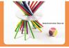 Early Childhood Balance Blocks: Educational Wood Skewers Game