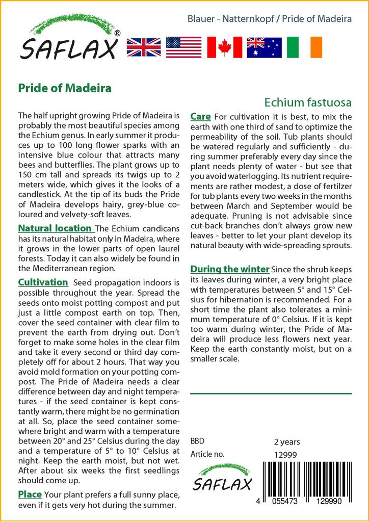 SAFLAX Pride of Madeira - 100 semen - Echium fastuosa