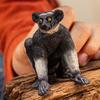 Schleich Wildlife Indri 14877