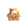 Lovely Box Cartoon Cat Miniature Landscape Decor Bonsai Resin Crafts Ornament
