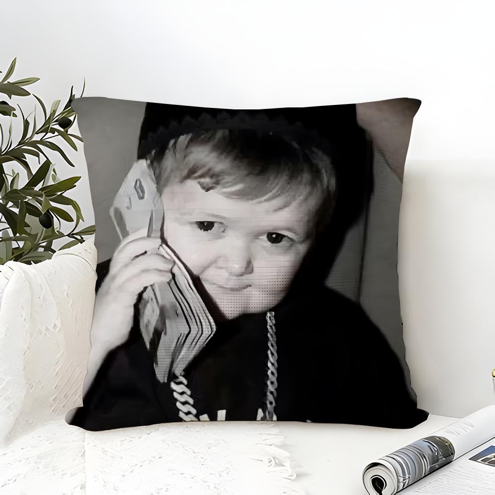 Viral Internet Meme Character Pillow Case linen pillow case sofa home decor cushion cover cushion cove