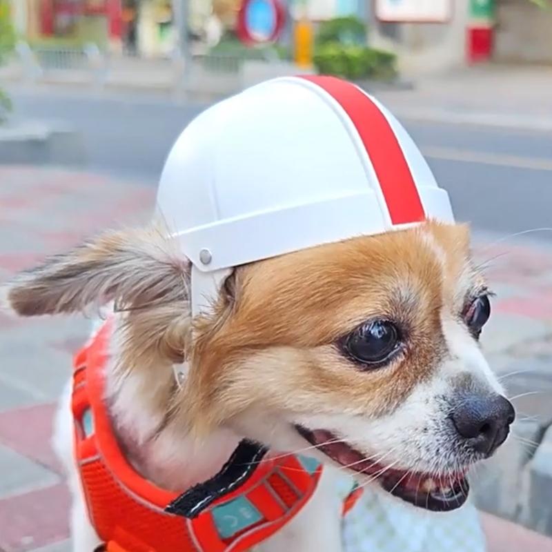 Small Pet Helmet with Ear Hole Motorcycle Dog Helmet Multi-sport Dog Outdoor Bike Puppy for Dogs and Dropshipping