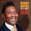 Muddy Waters - Sings the Songs