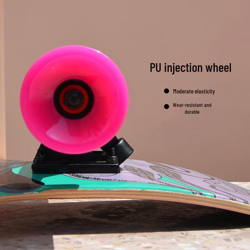 Beginner Adult Longboard Skateboard