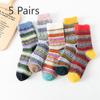 5 Pairs of Female Autumn and Winter Imitation Mink Wool Thick Warm Ethnic Rabbit Wool Tube Socks